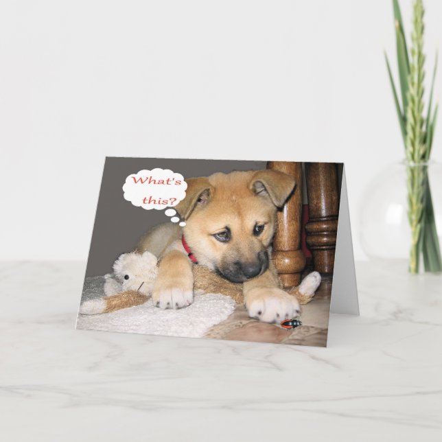 Tarjeta Humor cómico del cumpleaños (Anverso)