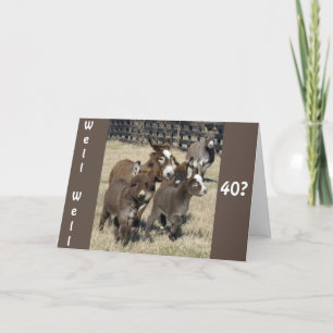 TARJETA **HUMOR DE 40 CUMPLEAÑOS DE BURROS NO MENOS**