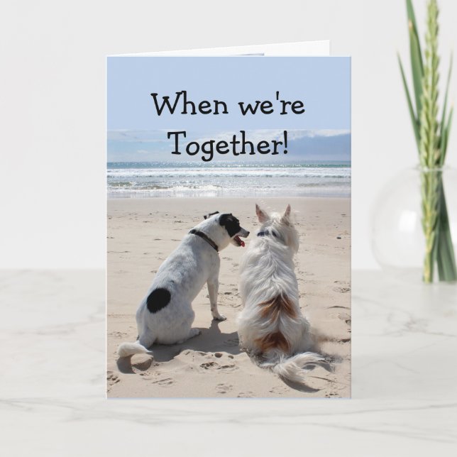 Tarjeta Humor de Amigo de Cumpleaños Cute Dogs (Anverso)