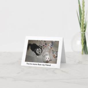 Tarjeta Humor de cachorro de amistad