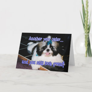 Tarjeta Humor de Cumpleaños - Cachorro Adorable de Shih-Tz