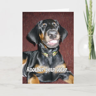 Tarjeta Humor de Cumpleaños - Cachorro de Doberman Pinsche
