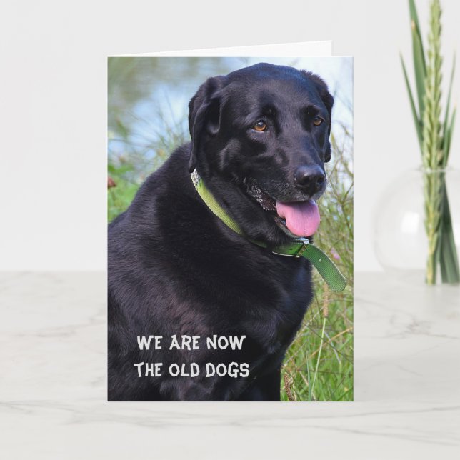 Tarjeta Humor de cumpleaños de Black Labrador Retriever (Anverso)