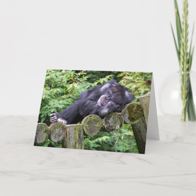Tarjeta Humor de cumpleaños de Chimpanzee (Anverso)