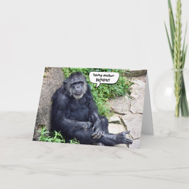 Tarjeta Humor de cumpleaños de Chimpanzee (Anverso)