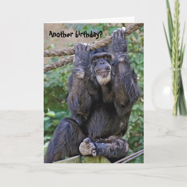 Tarjeta Humor de cumpleaños de Chimpanzee (Anverso)