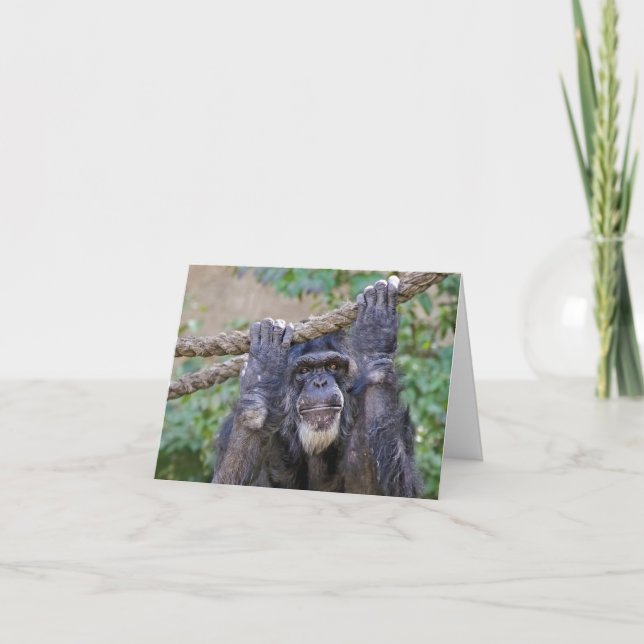 Tarjeta Humor de cumpleaños de Chimpanzee (Anverso)