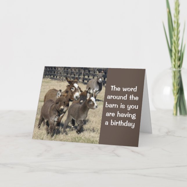 TARJETA **HUMOR DE CUMPLEAÑOS DE DONKEYS NO MENOS** (Anverso)