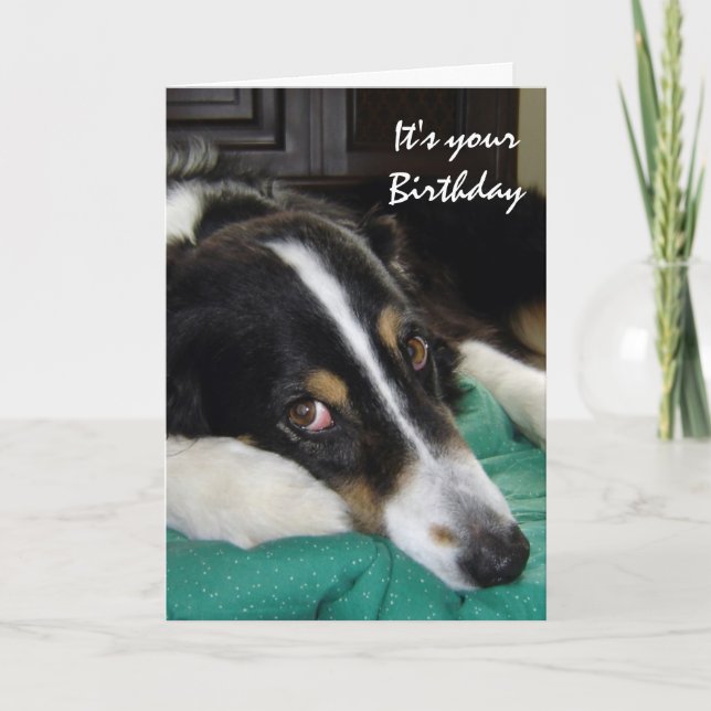Tarjeta Humor de cumpleaños de edad avanzada Mascota de pe (Anverso)