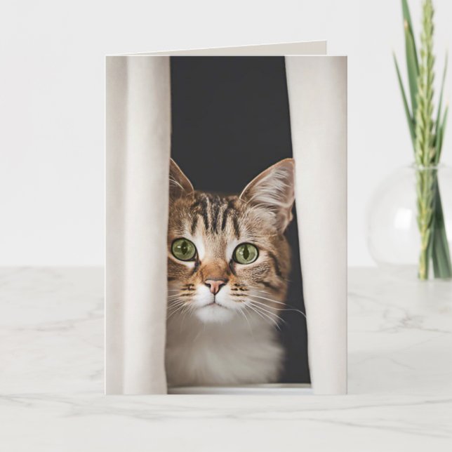 Tarjeta Humor De Cumpleaños De Gato Con Cortina (Anverso)