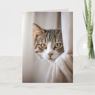Tarjeta Humor de Cumpleaños de Gato en Cortina