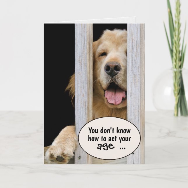 Tarjeta Humor de cumpleaños de Golden Retriever (Anverso)