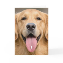 Humor de cumpleaños de Golden Retriever