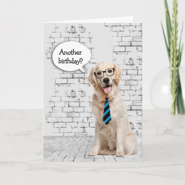 Tarjeta Humor de cumpleaños de Golden Retriever (Anverso)