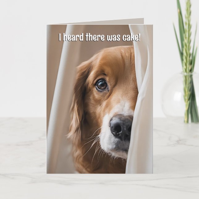 Tarjeta Humor de cumpleaños de Golden Retriever (Anverso)