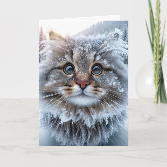 Tarjeta Humor de cumpleaños de invierno de Maine Coon (Anverso)