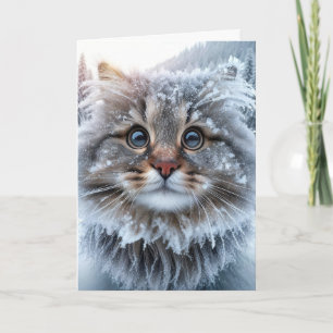 Tarjeta Humor de cumpleaños de invierno de Maine Coon