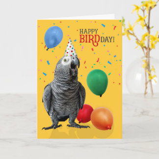 Tarjeta Humor de cumpleaños de loro gris africano gracioso