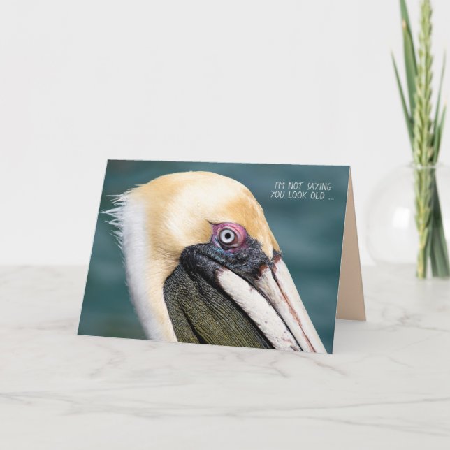 Tarjeta Humor de cumpleaños de Pelican (Anverso)
