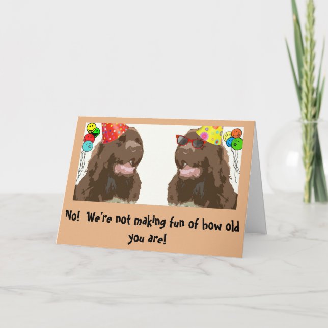 Tarjeta Humor de cumpleaños de perros de Terranova (Anverso)
