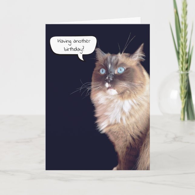 Tarjeta Humor de cumpleaños de Ragdoll Cat (Anverso)