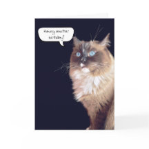 Humor de cumpleaños de Ragdoll Cat