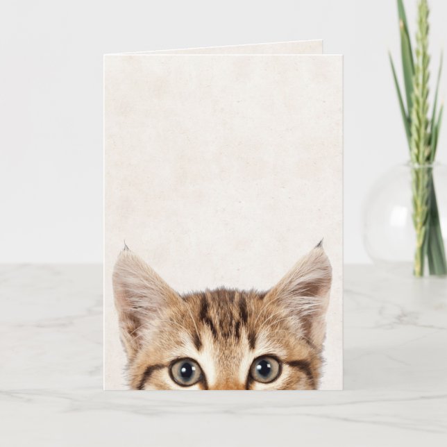 Tarjeta Humor de cumpleaños de Tabby Kitten (Anverso)