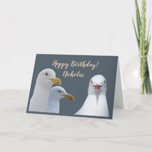 Tarjeta Humor de cumpleaños de todas las gaviotas de rebañ