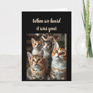 Tarjeta Humor de cumpleaños de todos los gatos aburridos