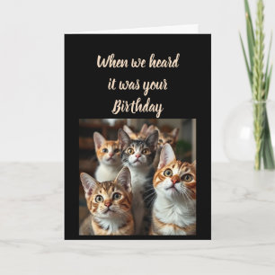 Tarjeta Humor de Cumpleaños de Todos Nosotros Gatos Lindos