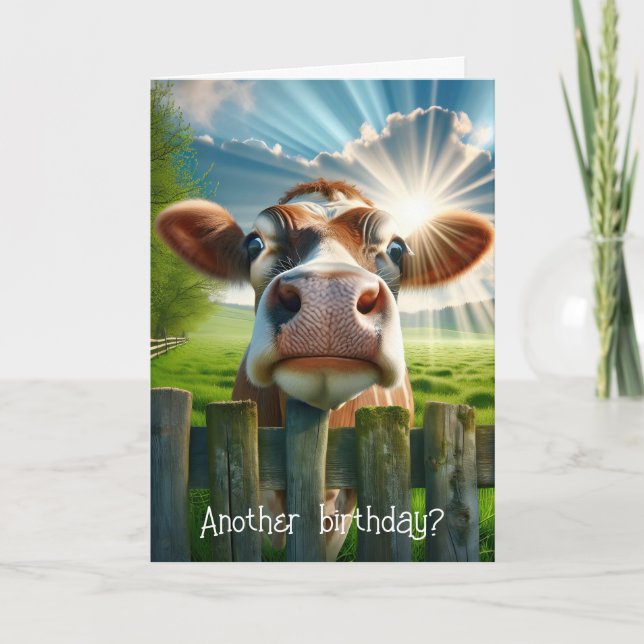 Tarjeta Humor de cumpleaños de vaca caprichoso (Anverso)