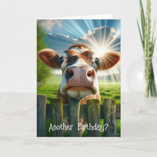 Tarjeta Humor de cumpleaños de vaca caprichoso