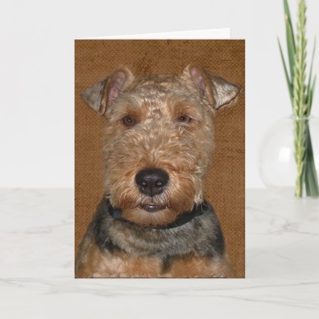 Tarjeta Humor de cumpleaños de Welsh Terrier (Anverso)