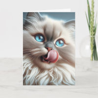 Humor de cumpleaños del gato del Himalaya