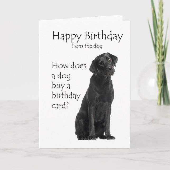 Tarjeta Humor de cumpleaños divertido para un labrador neg (Anverso)