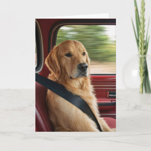 Tarjeta Humor de cumpleaños Golden Retriever con cinturón 