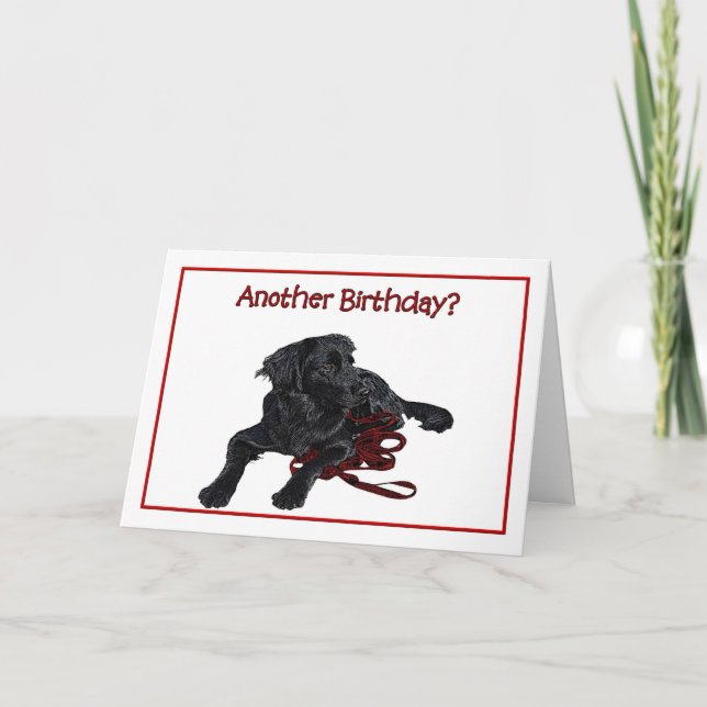 Tarjeta Humor de cumpleaños Labrador negro (Anverso)