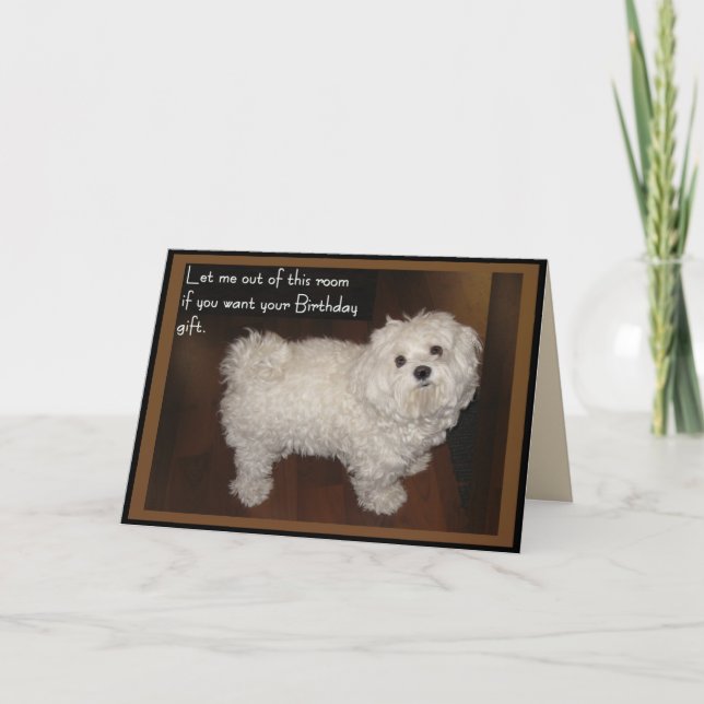 Tarjeta Humor de cumpleaños maltés (Anverso)