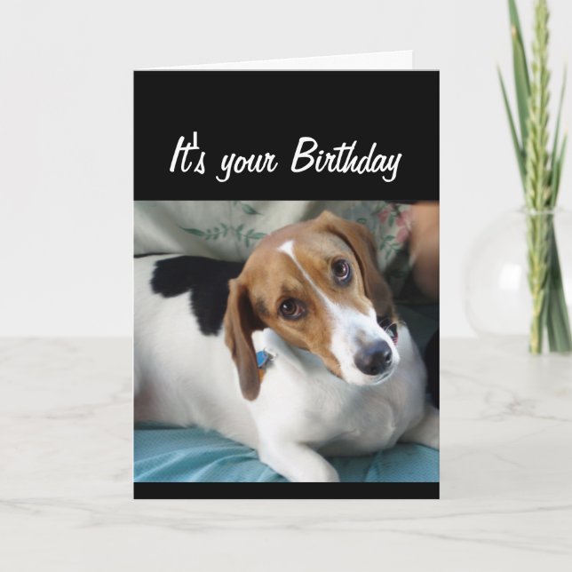 Tarjeta Humor de cumpleaños no se come todo ese perro dulc (Anverso)