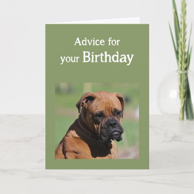 Tarjeta Humor de cumpleaños, perro lindo (Anverso)