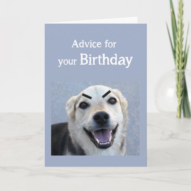 Tarjeta Humor de cumpleaños perro lindo de perro nueva ten (Anverso)