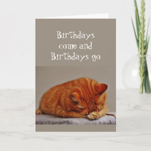 Tarjeta Humor de cumpleaños sin opción a esconderse Gato n