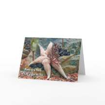 Humor de Estrella de Mar para Pensar en Ti