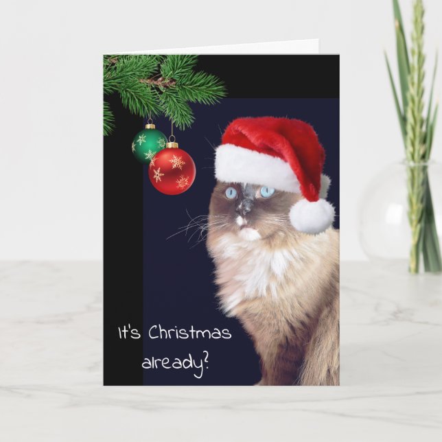 Tarjeta Humor de gato de navidades Ragdoll (Anverso)