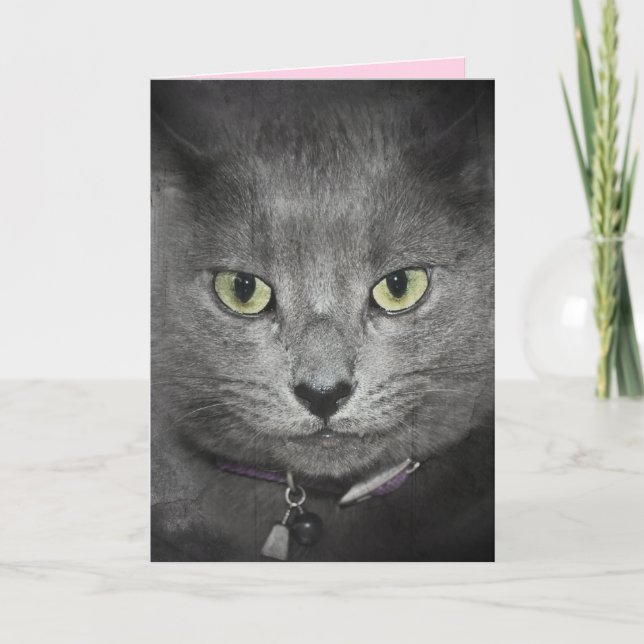 Tarjeta Humor de gato gris de cumpleaños (Anverso)