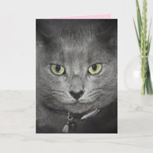Tarjeta Humor de gatos de cumpleaños