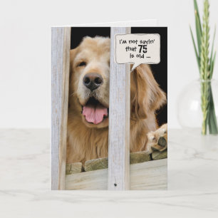 Tarjeta Humor de Golden Retriever por 75 años