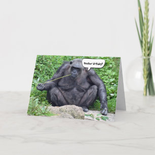 Tarjeta Humor de los chimpancés de cumpleaños