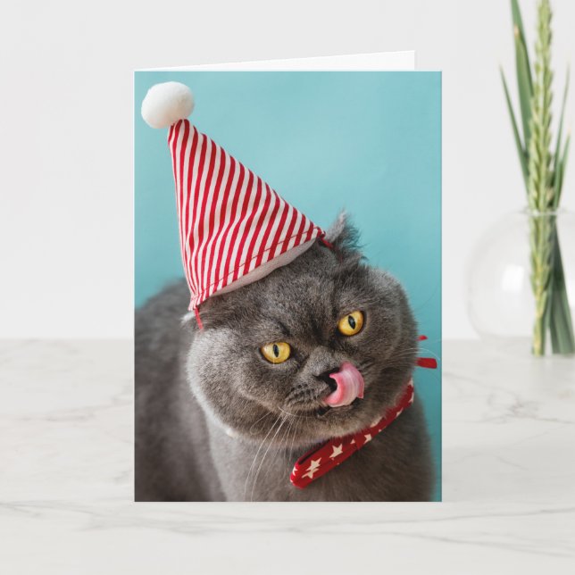 Tarjeta Humor de Navidad de Gato (Anverso)