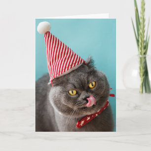 Tarjeta Humor de Navidades gatos